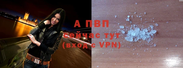 прущие крисы Абаза