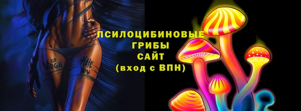 прущие крисы Абаза